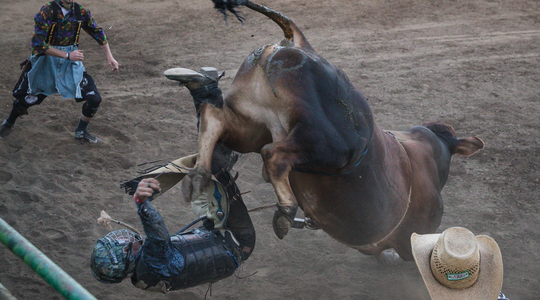 Taking a tumble, bull rider style