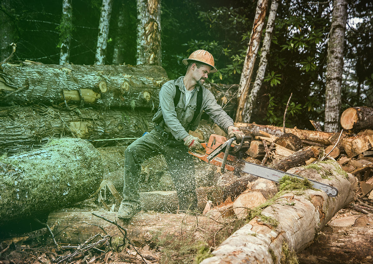 Stylized photo of logs being harvested